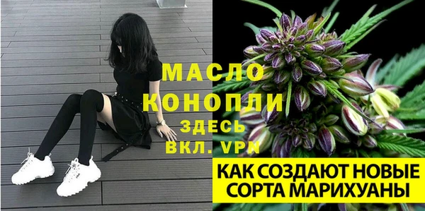 PSILOCYBIN Елабуга