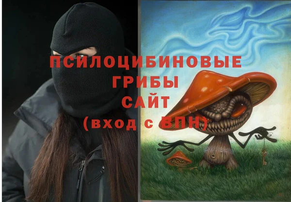 бошки Нефтегорск