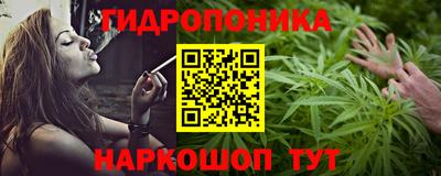 jwh Бийск
