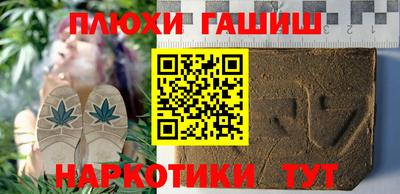 jwh Бийск