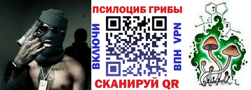 даркнет какой сайт  сколько стоит  Клинцы  Псилоцибиновые грибы Psilocybe 