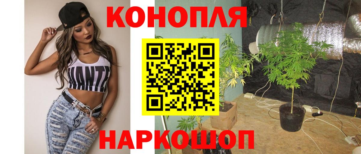 Бошки марихуана гибрид Клинцы